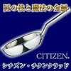 CITIZENζꤤη뾽!ͣΥĴ񡣡ڥݥ5ܡCITIZEN(R)󡦥󥯥åɡե饤ѥ26cmڥեƥХ饤03065
