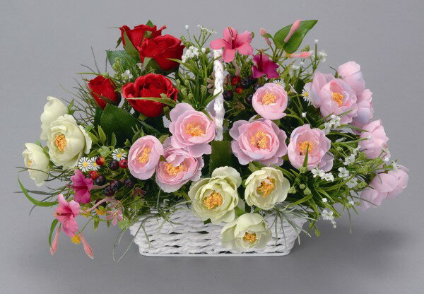 եȡˤʡƥꥢ˰첡˻ʤ˺Ŭʡ줤餺θγڱࡣ γڱ 󥸥ե A1905-50ڥȥե ¤֡