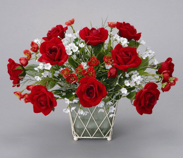 եȡˤʡƥꥢ˰첡˻ʤ˺Ŭʡ줤餺θγڱࡣ γڱ 󥸥ե A2109-45ڥȥե ¤֡