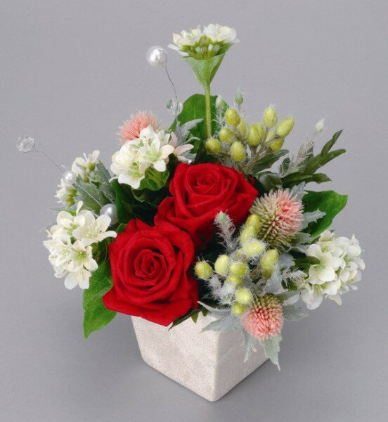 եȡˤʡƥꥢ˰첡˻ʤ˺Ŭʡ줤餺θγڱࡣγڱ ץꥶ֥ɥե A2602-50ڥץꥶ֥  ¤֡