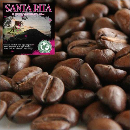 【レインフォレスト認証コーヒー】HIROCOFFEE◆エルサルバドル・サンタ　リタ農園 100gまろやかで香り高い優良カップ