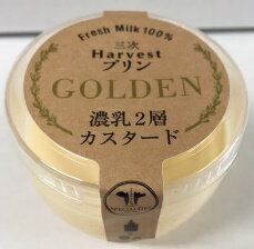 三次Harvestプリン GOLDEN 濃乳2層カスタード 75g 10個セット 高原安瀬平乳業　あせひら