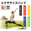 【エントリーで更にポイント10倍!】 【1位獲得】 エクササ...