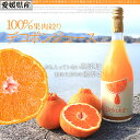 愛媛県 産【デコポンジュース720ml×1本】【極島みかんジ...