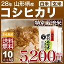 山形 こしひかり(特別栽培米) 10kg 送料無料
