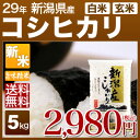 新潟 コシヒカリ 5kg 送料無料(28年産 米/