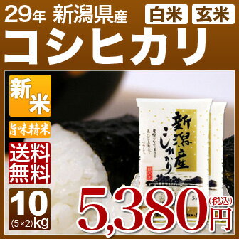 新潟 コシヒカリ 10kg 送料無料(28年産 米 5kg×2/明日楽) 玄米のお米/精米…...:igaho-ya:10000154