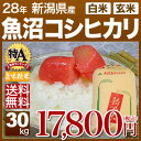 新潟県 魚沼産コシヒカリ 30kg 送料無料(28年産 特A 米/明日楽) 玄米のお米/精米(白米) 対応可 例年、食味ランキングで特a米評価 最高級 魚沼産こしひかり/魚沼コシヒカリ/新潟魚沼産コシヒカリ (あす楽 対応 通販)