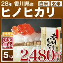 香川県産 さぬき米 ヒノヒカリ 5kg 送料無料(