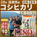 滋賀県 コシヒカリ 10kg 送料無料(28年産