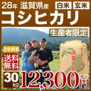 滋賀県 コシヒカリ 30kg 送料無料(28年産 米/明日楽) 玄米のお米/精米(白米) 対応可 井口農園が作る産地指定/西日本産の近江米、ミネラルがたっぷり、滋賀県産 こしひかり (あす楽 対応 通販)