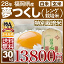 福岡県 夢つくし 特別栽培米 30kg 送料無料(