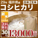福井県産 コシヒカリ 30kg 送料無料(28年産