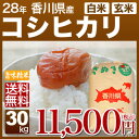 香川県産 讃岐米 こしひかり 30kg 送料無料(