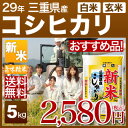新米 29年 三重県産 こしひかり 5kg 送料無料(29年産 米/あす楽)29年度産のお米 玄米/精米(白米)対応 産地指定のこだわり栽培 人気の西日本産の米 三重県 コシヒカリ、内祝いやギフト用に熨斗(のし)対応(明日楽 通販 即納 可)