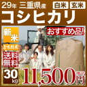 新米 29年 三重県産 こしひかり 30kg 送料無料(29年産 米/あす楽)29年度産のお米 玄米/精米(白米)対応 産地指定のこだわり栽培 人気の西日本産の米 三重県 コシヒカリ(明日楽 通販 即納 可)