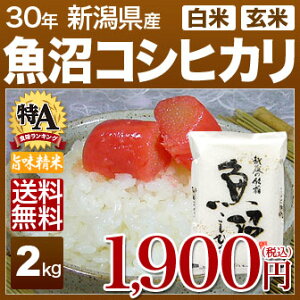 新潟県 魚沼産コシヒカリ 米 2kg 送料無料 29年産の(玄米)又は(白米/精米) 食べ比べサイズのお米