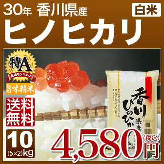 香川 ヒノヒカリ 米 10kg(5kg×2)送料無料 29年産の(白米) 内祝いやお返し、ギフトに熨斗(のし)名入れ 可