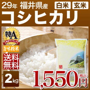 福井県産 コシヒカリ 米 2kg 送料無料 29年産の(白米/精米) 食べ比べサイズのお米