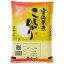 新米 コシヒカリ 米 2kg 送料無料 富山県 令和3年産(2021年 白米 2キロ) 食べ比べサイズの お米