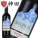 サン・ピコ 赤 カベルネ・ソーヴィニョン パイス アリカンテ チリ セントラル・ヴァレー 赤ワイン wine