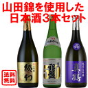 日本酒 地酒 送料無料 山田錦使用3本セット720ml 飲み比べ 3本セット 山田錦 大吟醸 純米大吟醸