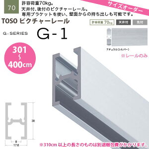TOSOピクチャーレールG-1レールのみ301〜400cmオーダーサイズ1本
