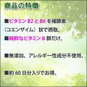 [アレルギー対応済]スーパー・ビタミンB サプリメント サプリ 植物由来 無添加 植物性120粒 約60日分x2本 【サプリメント/サプリ/ビタミンB群/ビタミンb/bコンプレックス/B複合体/植物性/天然/高吸収/グルテンフリー/アレルギー対応】