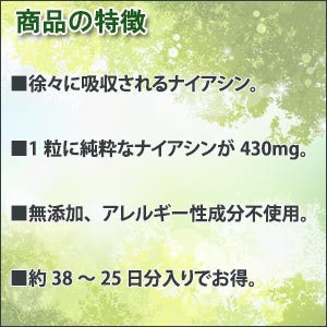 ナイアシン(ビタミンB3) ノーフラッシュ 無添加 植物性カプセル 38〜25日分x2本入 【サプリメント/ビタミンb3/ナイアシン/荒れない/ノーフラッシュ/アレルギー対応/ナイアシンアミド/無添加/グルテンフリー/アレルゲンフリー/サプリ/高吸収/タイムリリース】