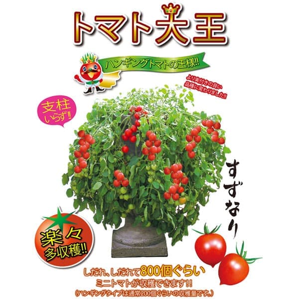   Eo g}g剤(x炸ŊyXn!!NEW^Cv~jg}g) 9cm|bgc/2Zbg nMOg}g ؕc ~jg}gc ݂ɂƂ܂ƕc x_ In͔| tomato