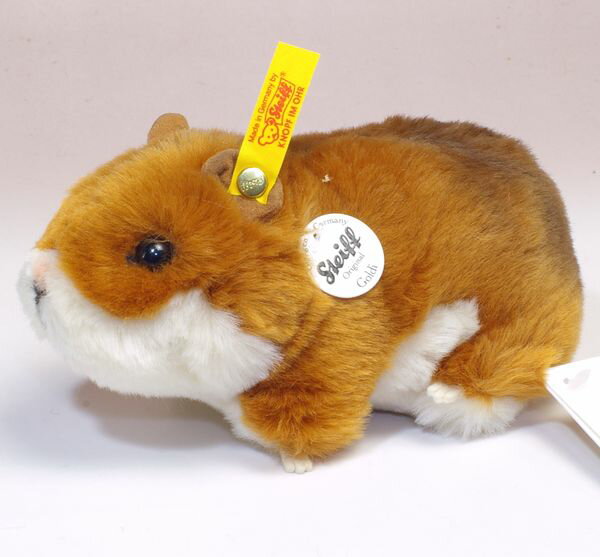 ゴールディー ハムスター（Goldi hamster）14cm