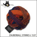 SCHOPPEL 靴下用毛糸 ZAUBERBALL ST&#196;RKE 6 1537