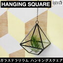 【GLASS HANGING SQUARE】ガラステラリウム ハンキング スクエア ヴィンテージ インテリア エアープランツ 吊り下げ 四角 北欧 雑貨 小物 エアプランツ チランジア ティランジア インテリアグリーン ミニ観葉 観葉植物 容器 ガラス 吊るす ギフト