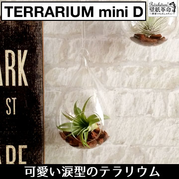 【terrarium miniD(涙型)】テラリウムミニ 涙型 ハンキング ヴィンテージ …...:kabegamikakumei:10003601