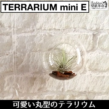 【terrarium miniE(丸型)】テラリウムミニ 丸型 ハンキング ヴィンテージ …...:kabegamikakumei:10003600