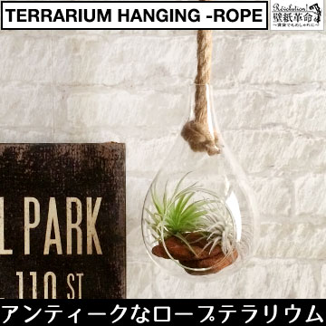 【terrarium hanging-rope】テラリウムハンキングロープ S 麻ロープ …...:kabegamikakumei:10003602