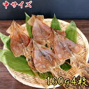 【本日ポイント2倍】【中サイズ】北海道 函館産 スルメイカ ...