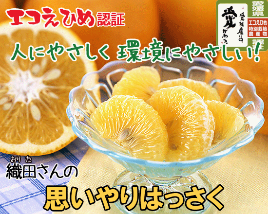 410缡в١ۿĤλפϤä5kgڥ