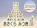 お名前スタンプ追加用お名前ゴム印セット『デラックスタイプ』　入園準備・入学準備の必需品！お名前スタンプ二人以上のお子様ならこちらのご利用がお得です♪単独販売可能です！メール便発送でです！！