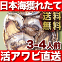 送料無料！日本海産天然あわび「活アワビ／3-4人前約350-400g」漁港から直送です。