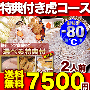 とらふぐ【送料無料】「特典付ふぐ刺身ふぐ鍋セット2人前／超冷」【あす楽対応】【 ふぐ セット】【楽ギフ_のし】旨さが違う活絞めとらふぐセット【送料無料】本場の板前のふぐ鍋、ふぐ刺し、ふぐヒレ・ふぐ皮、選べる特典付き【河豚・フグ・ふぐ】