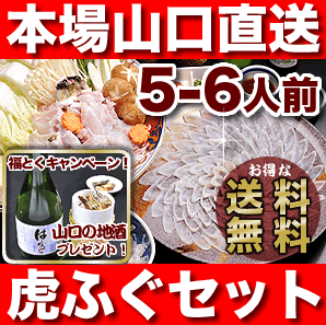 ふぐ・トラフグ「ふぐ刺身ふぐ鍋セット5-6人前／超冷」【ふぐ お歳暮・フグ刺し お歳暮】【送料無料】【 ふぐ セット】