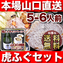 ふぐ・トラフグ「ふぐ刺身ふぐ鍋セット5-6人前／超冷」【ふぐ お歳暮・フグ刺し お歳暮】【送料無料】【 ふぐ セット】