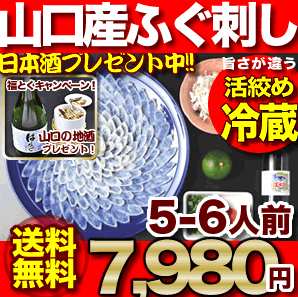 ふぐ刺し「ふぐ刺身5-6人前」【ふぐ お歳暮・ふぐ セット・フグ刺し お歳暮】【送料無料】