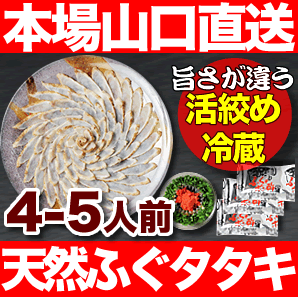 ふぐ刺し「ふぐタタキ4-5人前」たっぷり4-5人前【楽ギフ_のし】本場下関で修業した板前が作る活き締めフグ料理。プリプリ食感の天然ふぐのたたきが格安です。