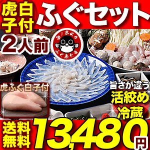 ＼楽天グルメ大賞連続受賞／トラフグ「ふぐ刺身ふぐ鍋セットとらふぐ白子付／2人前／冷蔵」【プ…...:kiraku-senzaki:10000143