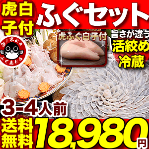 ＼楽天グルメ大賞連続受賞／トラフグ【送料無料】「ふぐ刺身ふぐ鍋セットとらふぐ白子付／3-4…...:kiraku-senzaki:10000142