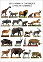 ポストカード アフリカの動物
