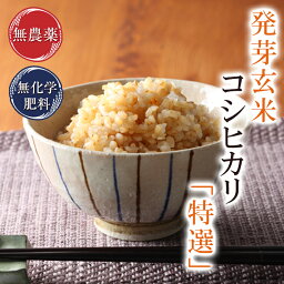 発芽玄米 無農薬 コシヒカリ 「特選」10kg（2kg×5） 無洗米 令和5年福井県産 限定米 送料無料無農薬・無化学肥料栽培食物繊維・ビタミンB群・GABAが豊富アブシジン酸は未検出真空<strong>パック</strong> チャック付袋無洗米になりました！