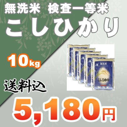 【送料無料】 23年 茨城県桜川市産 『検査一等米』 無洗米 こしひかり 10kg（2kg×5袋）